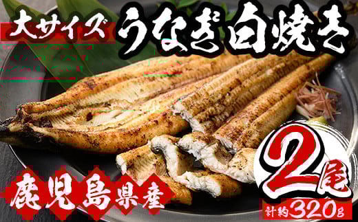 [期間・数量限定]国産うなぎ(鹿児島県産うなぎ)白焼き(大サイズ2尾・約320g) 国産 国産魚 九州産 鹿児島県産 魚 魚介 鰻 うなぎ ウナギ 白焼き 惣菜 冷凍[南竹鰻加工][B-351H]