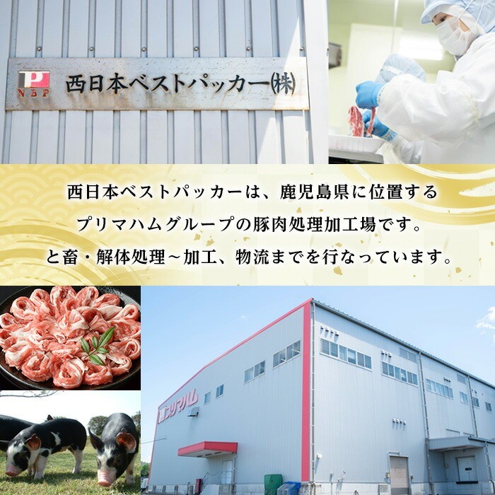 ＜定期便・全3回＞恵味の黒豚しゃぶしゃぶ2種セット (鹿児島県産黒豚)(300g×6P×3回・総量5.4kg) 豚 豚肉 鹿児島 黒豚 スライス 肩ロース ばら肉 バラ肉 しゃぶしゃぶ 詰合せ 小分け 300g 冷凍 真空 定期便【西日本ベストパッカー】【00-110-12-TK】