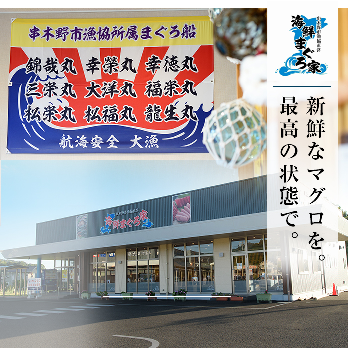 ＜2026年お中元ギフト＞《ちょこっとプレミアム》天然本まぐろフルセット(計300g) 100g柵でお届け！肉厚のお刺身や海鮮丼に！まぐろ 鮪 魚介 刺し身 刺身 さしみ 海鮮丼 本マグロ 小分け 便利 冷凍 新鮮【海鮮まぐろ家】【00-041-10-R8OC】