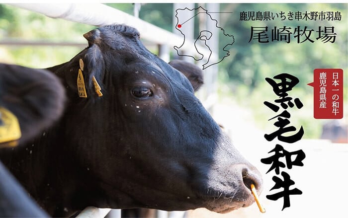 ＜2026年お中元ギフト＞鹿児島県産黒毛和牛スネ肉角切り(600g) 国産 鹿児島県産 牛肉 すね肉 スネ肉 角切り 煮込み カレー シチュー 冷凍 贈答品 ギフト【バクロ】【00-030-07-R8OC】