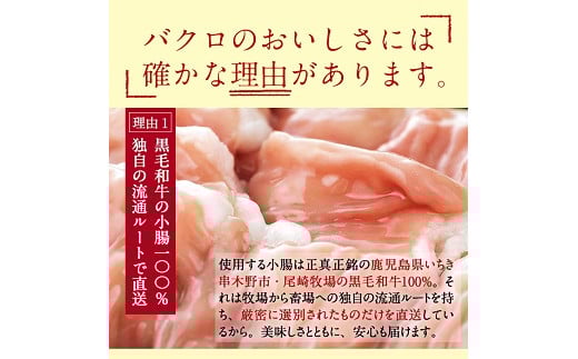 鹿児島県産黒毛和牛使用！もつ鍋セット(2〜3人前)「贅の味噌」スープ(750g)と黒毛和牛小腸(300g)！しょうちょう ホルモン もつ鍋 鍋 お鍋 冷凍 牛肉 肉 もつ モツ 内臓 国産牛 国産 九州産 モツ鍋 もつなべ ギフト 黒毛和牛【バクロ】【A-556H】
