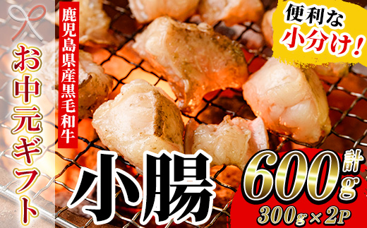 ＜2026年お中元ギフト＞鹿児島県産黒毛和牛 小腸(300g×2P・計600g) しょうちょう ホルモン もつ鍋 焼肉 鍋 焼肉用 焼き肉 バーベキュー 冷凍 牛肉 肉 もつ モツ 内臓 国産牛 モツ鍋 もつなべ 小分け 九州 国産 贈答品 ギフト【バクロ】【00-030-27-R8OC】