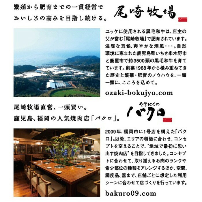 鹿児島県産黒毛和牛 ユッケ(計160g・40g×4P・タレ付き) 牛肉 肉 黒毛和牛 国産 国産牛 九州 鹿児島 鹿児島県産 生食 ユッケ 冷凍 小分け こわけ タレ付き 便利 ギフト【バクロ】【A-2042H】
