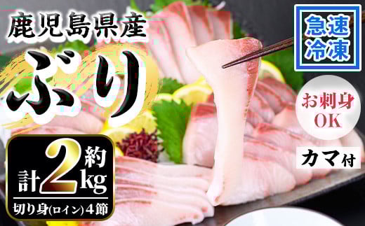 鹿児島県産！冷凍ぶり(ロイン4節入・計2kg前後/カマ付)国産 九州産 鹿児島産 魚介 魚 旬 ハマチ はまち 養殖 ブリ 鰤 刺身 お刺身 海鮮丼 漬け丼 ブリ大根  ぶりしゃぶ しゃぶしゃぶ 鍋 お鍋 カマ ブリカマ ロイン 切り身 切身 冷凍【全栄フーズ】【C-229H】