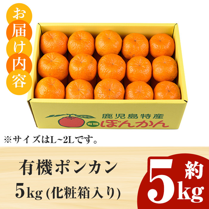 ＜先行予約受付中＞《期間・数量限定》有機ポンカン(約5kg・化粧箱入り) 国産 九州産 鹿児島県産 蜜柑 みかん ミカン 柑橘 果物 果実 フルーツ ぽんかん ポンカン 数量限定 期間限定 【大久保農園】【A-2047H】