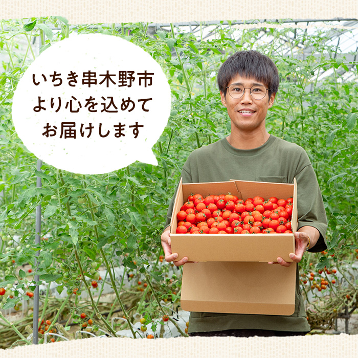 12/21ãŸã§å¹Žå
é
éïŒãæééå®ãããããã (4kg) åœç£ 鹿å
å³¶çç£ ããã ããããã éè ããã çéè æ°é®® ææ¡ã ææ¡ã æ¬ æééå® ãµã©ã ãåŒåœ 幎å
é
é 幎å
çºé ã(æ ª)AGRICIAããA-2023Hã