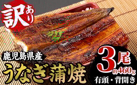[訳あり]国産うなぎ(鹿児島県産うなぎ)蒲焼(3尾・約460g) 国産 国産魚 九州産 鹿児島県産 魚 魚介 魚介類 鰻 うなぎ 蒲焼 蒲焼き 訳あり 訳アリ 規格外 惣菜 冷凍[南竹鰻加工][B-398H]