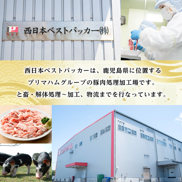 鹿児島県産豚こまぎれ・ミンチ (300g×3P×2種・合計1.8kg) 豚 豚肉 肉 鹿児島 白豚 切り落とし 小間切れ こま切れ こまぎれ ミンチ肉 ひき肉 挽き肉 挽肉 ハンバーグ そぼろ 炒め物 カレー 詰合せ 詰め合わせ 小分け 冷凍【西日本ベストパッカー】【A-2013H】