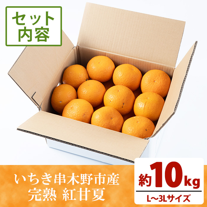 《訳あり》完熟 紅甘夏 L～3Lサイズ (約10kg) 国産 鹿児島県産 果物 柑橘 みかん ミカン 蜜柑 紅甘夏 旬 フルーツ 果実 訳アリ サイズ不揃い 冬季 常温 常温配送 箱 箱詰め 満杯 バラ詰め 【池之上果樹園】【A-1888H】