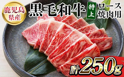鹿児島県産黒毛和牛 特上ロース焼肉 (計250g) 牛肉 肉 黒毛和牛 国産 国産牛 九州 鹿児島 鹿児島県産 ロース ロース肉 焼肉 焼き肉 冷凍 ギフト【バクロ】【00-030-30】