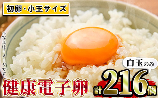 鹿児島県産！健康電子卵 初卵・白(計216個・54個入り×4枚) 国産 九州産 たまご タマゴ 玉子 生たまご 若鶏 若鳥 新鮮 鶏卵 小玉 パック 朝ごはん 卵かけごはん TKG おかず 卵焼き 割れ保障 安心 安全【峯元養鶏】【A-1828H】