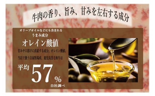 鹿児島県産黒毛和牛切り落とし(約600g) A4等級以上 肉 国産 牛 切り落とし 九州 黒毛和牛 和牛 牛肉 牛丼 肉じゃが【バクロ】【A-1553H】