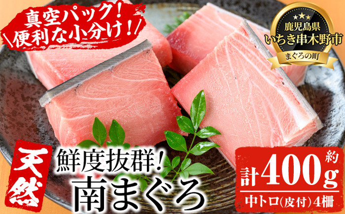 天然極上南まぐろ 中トロダブルセット(合計約400g) マグロ 鮪 魚介 海鮮 中トロ 魚 海鮮丼 南マグロ 【海鮮まぐろ家】【B-349H】