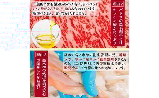 鹿児島県産黒毛和牛使用！もつ鍋セット(2〜3人前)「贅の味噌」スープ(750g)と黒毛和牛小腸(300g)！しょうちょう ホルモン もつ鍋 鍋 お鍋 冷凍 牛肉 肉 もつ モツ 内臓 国産牛 国産 九州産 モツ鍋 もつなべ ギフト 黒毛和牛【バクロ】【A-556H】