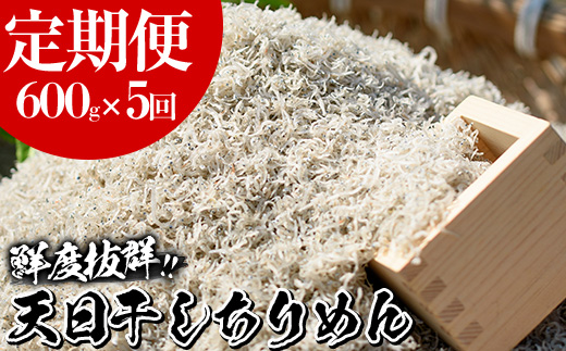 ＜定期便・全5回＞鹿児島県産「網元の天日干しちりめん(計600g・200g×3袋×5回)漁師直送だから新鮮！国産 しらす シラス じゃこ 直送 魚 魚介類 さかな 小魚 カルシウム 定期便 【大久保水産】【00-007-03-TK】