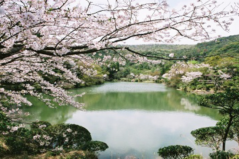 その他市政全般