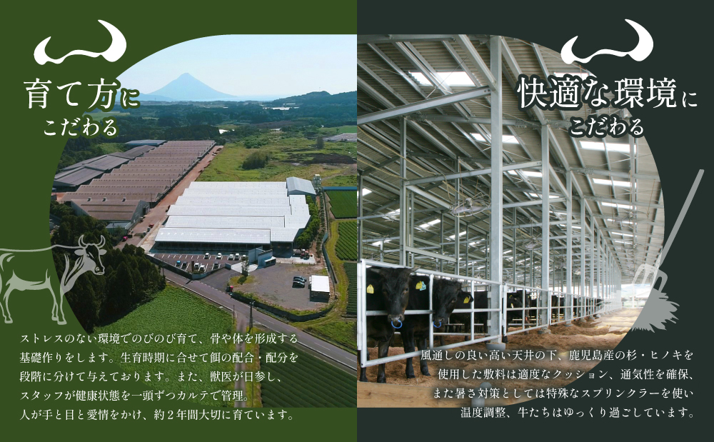 【プレミアムブランド】鹿児島県産黒毛和牛「小田牛」牛とろ煮込み 4個（140g×4） 牛肉 お肉 肉 常温保存 簡単調理 湯煎 惣菜 おかず おつまみ 丼 酒の肴 レトルト 和食 煮込み ギフト プレゼント 贈答用 小田畜産 鹿児島県 南さつま市