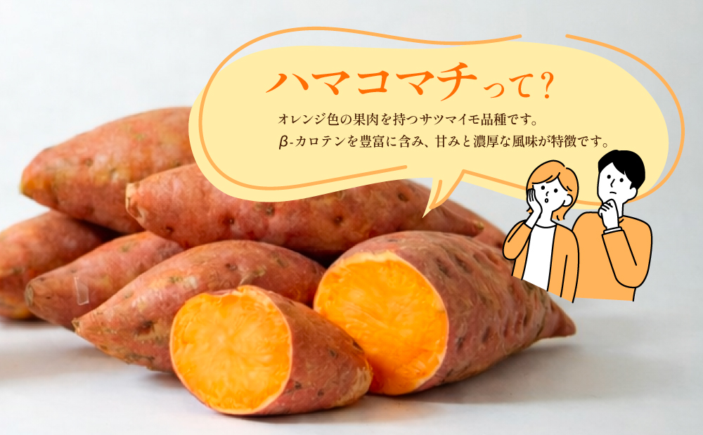 【本格芋焼酎】吹上焼酎 はまこ長期貯蔵（1.8L×2本）一升瓶 本格焼酎 いも焼酎 芋焼酎 はまこ はまこまち お湯割り ロック 水割り ソーダ割り こだわり 匠の技 おすすめ 人気 25度 家飲み 宅飲み 飲み比べ 吹上焼酎 南さつま市