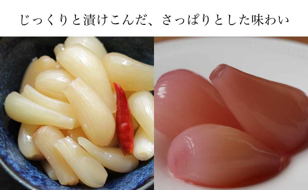 ã鹿å
å³¶çç£ãçœå®ãã£ããã 14PïŒçé
¢æŒ¬ãÃ7Pã»ããæŒ¬ã7PïŒ ã©ããã§ãŠ çé
¢ãã£ããã æ£è åžžæž©ä¿å ã飯ã®ããšã éè åžžæž© æŒ¬ç© åœç£
