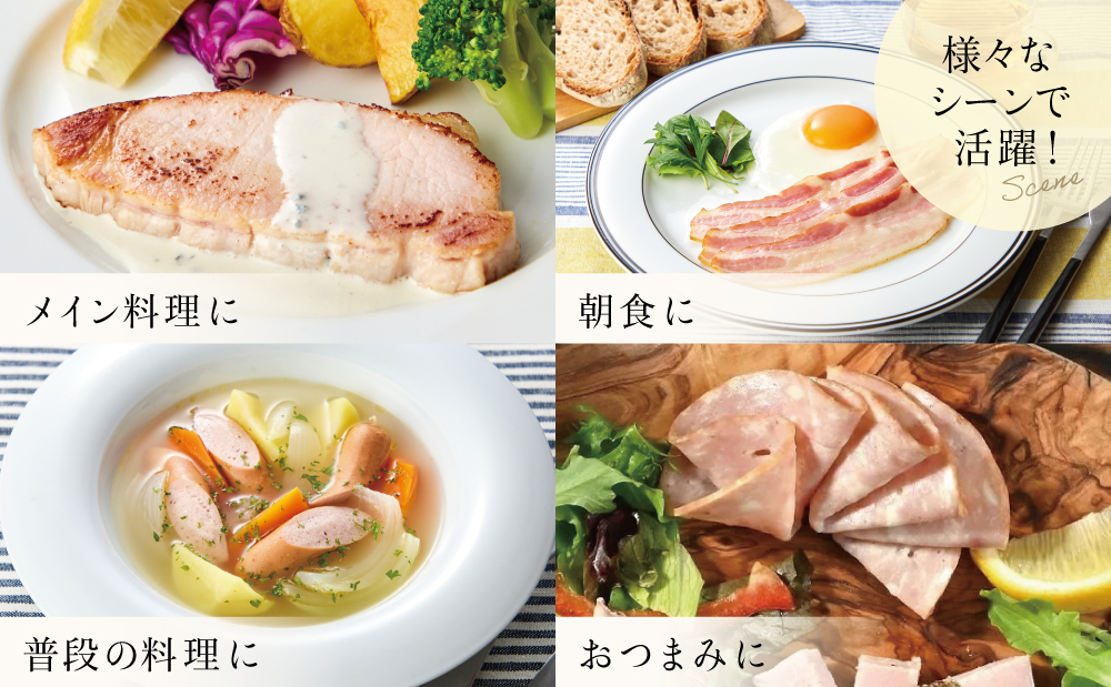 【マイスター山野井】ハム ソーセージ 5種 詰合せ 計10P ウインナー ベーコン ハム スライス お取り寄せ 肉 豚肉 詰め合わせ 詰合せ セット ご当地 鹿児島 グルメ ギフト 贈答 冷蔵 南さつま市