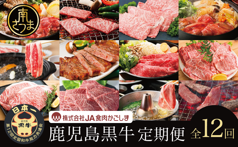 【JA食肉かごしま】鹿児島黒牛 定期便（全12回） かごしまブランド 黒毛和牛 和牛 牛肉 お肉 霜降り 赤身 ステーキ 焼肉 焼き肉 バーベキュー BBQ すき焼き しゃぶしゃぶ 食べ比べ 定期便 JA食肉かごしま 南さつま市