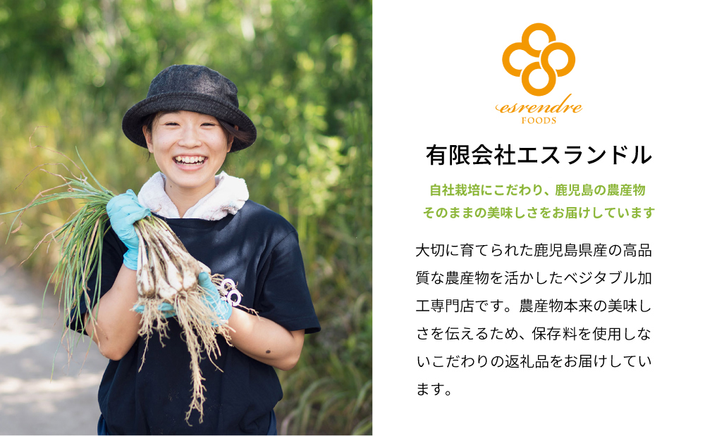 【鹿児島県産】スライス白宝らっきょう 8袋 惣菜 らっきょう漬 らっきょう 漬物 甘酢 鹿児島 エスランドル 南さつま市