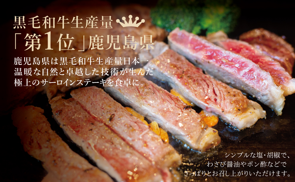 【鹿児島県産】黒毛和牛 サーロインステーキ 約500g （約170g×3枚） 牛肉 A4等級 ステーキ BBQ ギフト 贈答 冷凍 スターゼン 南さつま市