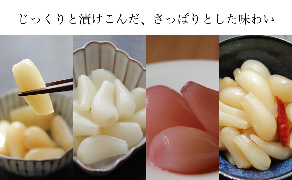 【鹿児島県産】白宝らっきょうプレミアムセット 14P（酢漬け・塩漬け各4P、しそ漬け・黒酢漬け各3P） ラッキョウ 甘酢らっきょう 惣菜 常温保存 ご飯のおとも 野菜 常温 漬物 国産 