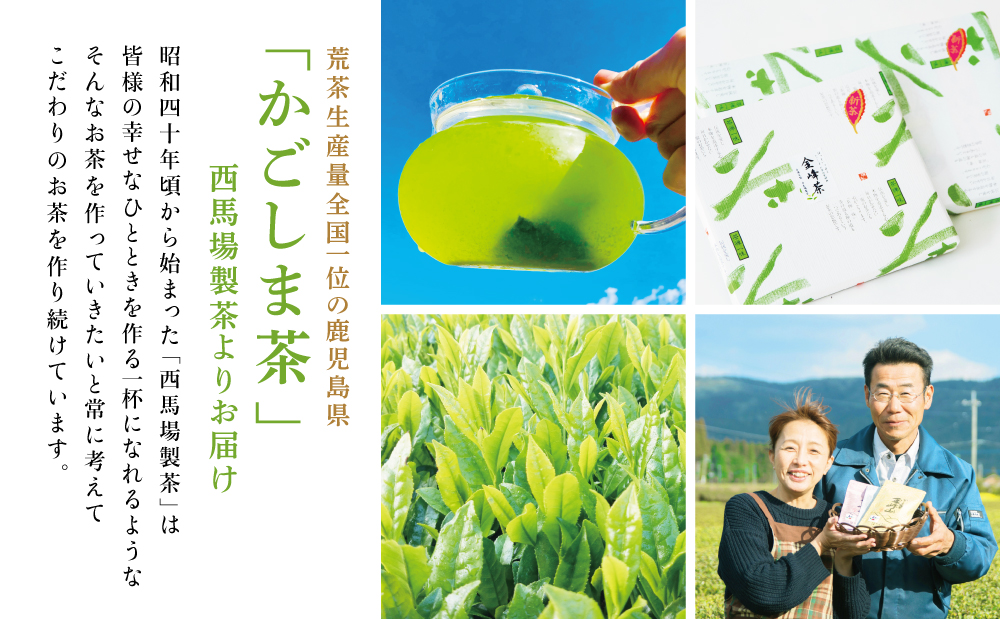 【鹿児島茶】自園自製 「金峰山 白銀」粉末緑茶＆ティーバッグセット 贈答用 ギフト 贈答 鹿児島県産 かごしま お茶 日本茶 緑茶 茶葉 南さつま市 西馬場製茶