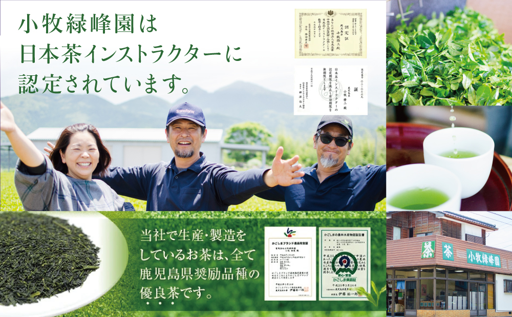 【日本茶AWARD受賞】鹿児島緑茶と紅茶のセット（計250g） 鹿児島県産 かごしま お茶 日本茶 緑茶 紅茶 茶葉 南さつま市 小牧緑峰園