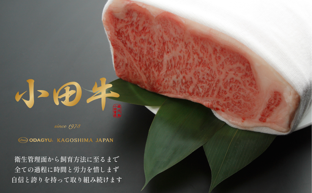 【プレミアムブランド】鹿児島県産黒毛和牛「小田牛」牛とろ煮込み 2個（140g×2） 牛肉 お肉 肉 常温保存 簡単調理 湯煎 惣菜 おかず おつまみ 丼 酒の肴 レトルト 和食 煮込み ギフト プレゼント 贈答用 小田畜産 鹿児島県 南さつま市