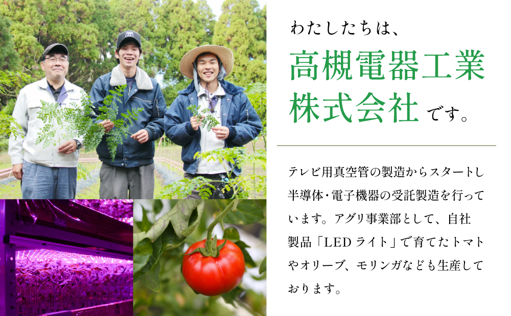 至高のトマト加工品詰合せ 3種類 南国 フルーツトマト100%使用 薩摩甘照 さつまあまてらす トマトジュース トマトケチャップ 濃厚 コク 甘み 天然素材 とまと 野菜 飲料 ドリンク ギフト 贈り物 贈答用 化粧箱入り 高槻電器工業 南さつま市