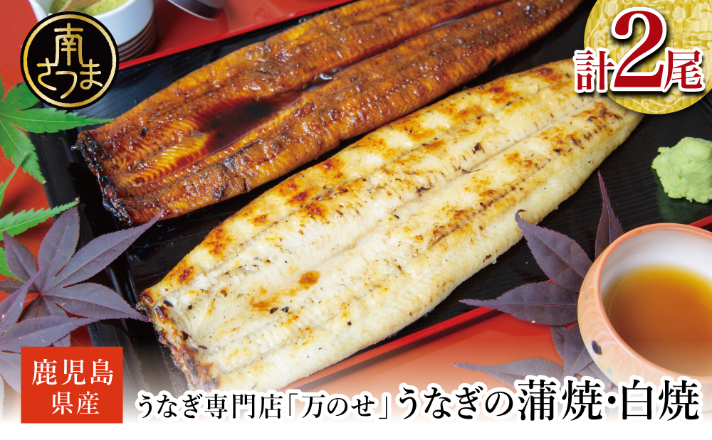 鹿児島県産 鰻 蒲焼・白焼セット［2種］うなぎ専門店「万のせ」加工品 詰め合わせ 詰合わ ギフト 贈答 贈り物 手土産 御祝 お祝い 鹿児島うなぎ 鰻 ウナギ スタミナ 土用の丑の日 蒲焼き 白焼き うな重 たれ だし 山椒 山葵 鹿児島県 南さつま市