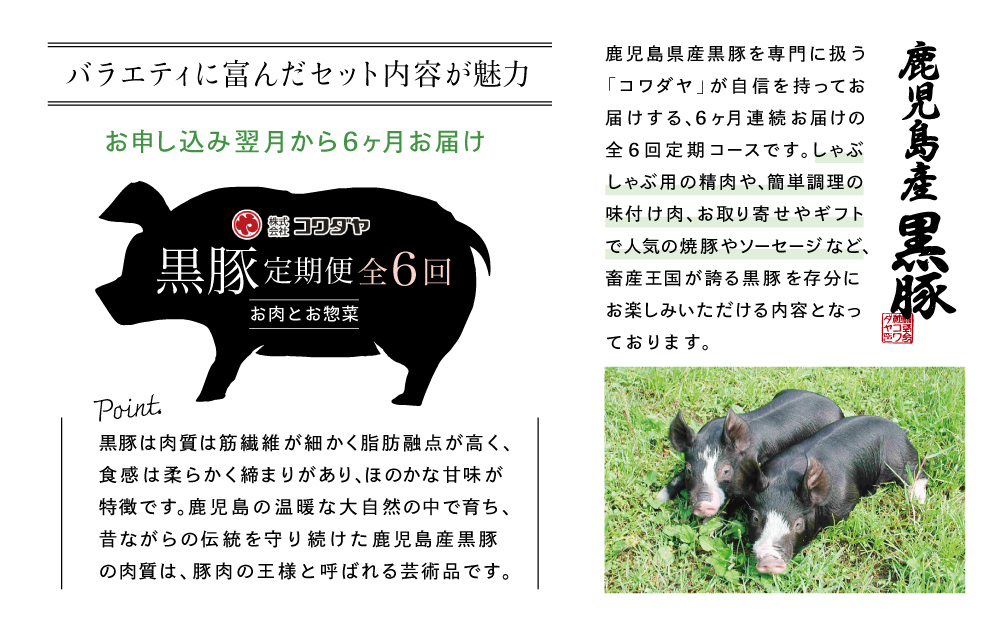 ãå®æäŸ¿ å
š6åãé»è±ã®ãããã§ãã·ã§ãã«ãã³ã¯ãã€ãã®å³éžé»è±å³ããå°œããã³ãŒã¹ ããã¶ããã¶ çå§çŒã çŒãè± çŒè± ãŠã€ã³ã㌠ãœãŒã»ãŒãž ããŒã¹ åèœã åãèœãšã 鹿å
å³¶çç£ å·å åãã€ãŸåž