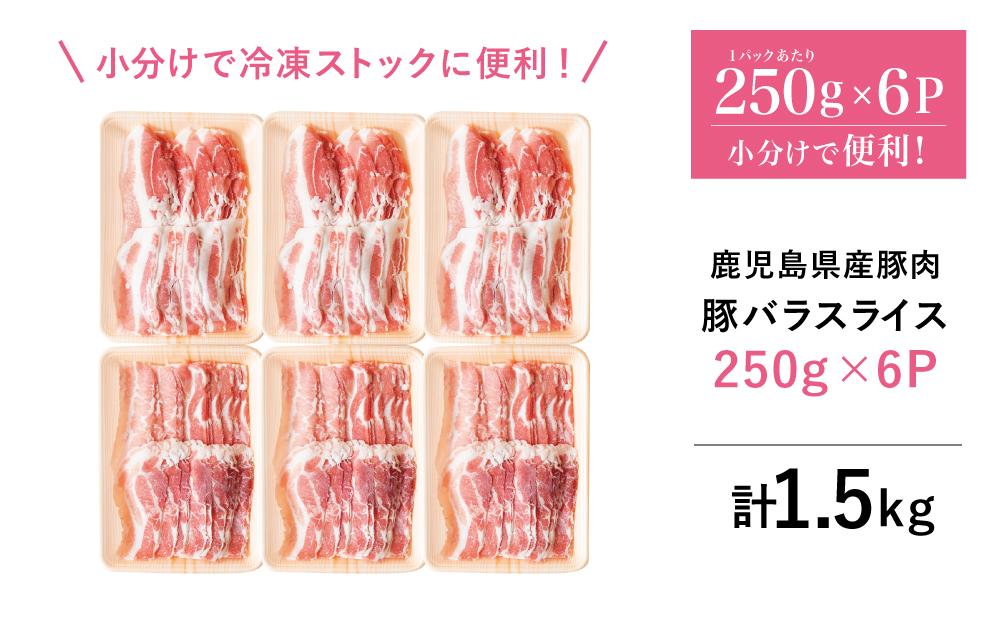 【鹿児島県産】 豚バラスライス 計1.5kgセット 豚肉 豚バラ肉 しゃぶしゃぶ 豚キムチ鍋 肉巻き 炒め物 薄切り 薄手 スライス お肉 国産 小分け パック 冷凍 カミチク 南さつま市