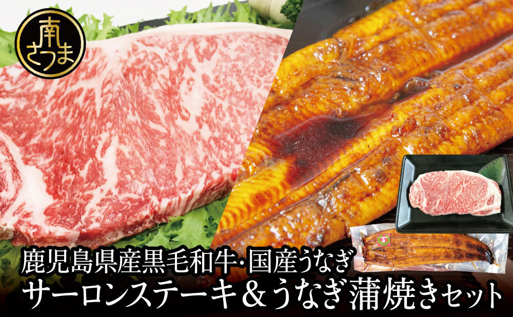 鹿児島県産黒毛和牛サーロインステーキ＆国産うなぎ蒲焼き スタミナセット（同梱発送） 鹿児島県産 黒毛和牛 牛肉 サーロイン 鰻 ギフト 贈答 冷凍 スターゼン ギフト 贈答 南さつま市
