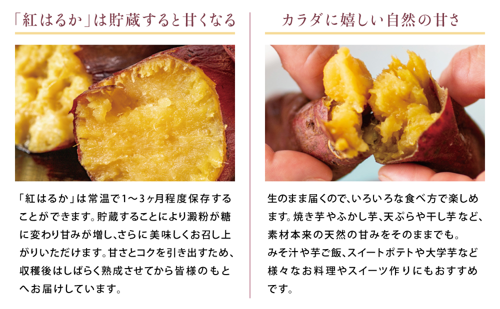 ã鹿å
å³¶çç£ãçãã€ãŸãããçŽ
ã¯ãããçŽ5kg â
11æä»¥éé æ¬¡åºè·â
å¬å£éå® å
è¡åä» ãã€ãŸãã çãã çè çŒãè ãã€ãŸè çè· ãµããã€ã¢ ã¹ã«ã¯ãã ã¹ã€ãŒã éè è²¯èµ åžžæž©ä¿å æ¬ JAåãã€ãŸ 鹿å
å³¶ç åãã€ãŸåž