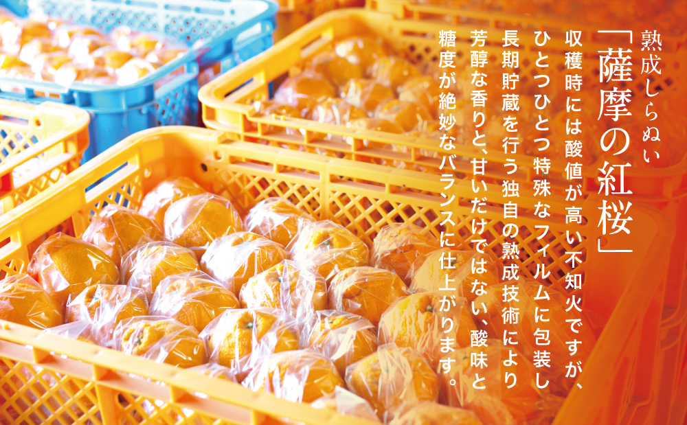 ãè³é«ã®çæææ©ããè©æ©ã®çŽ
æ¡ïŒäžç¥ç«ïŒããèªå®
çš 30ïœ36çLïœ3Lãµã€ãºïŒœæç© ãã«ãŒã çæ ææ© é·æè²¯èµ ããã¬ã äžç¥ç« 鹿å
å³¶ åãã€ãŸåž