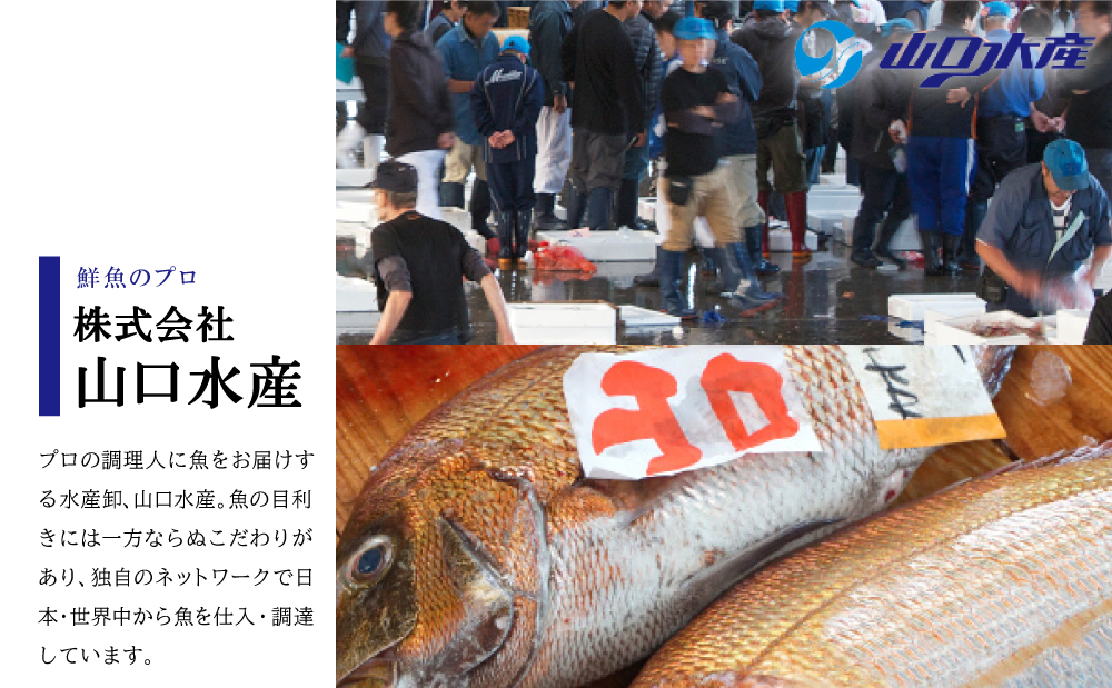 【 レンジでチンするだけ！ 】 ストックおかず 和惣菜12食 肉じゃが 鶏手羽元大根 筑前煮 さばの塩焼き さばの味噌煮 詰め合わせ セット 常温保存 惣菜 常温 おかず レトルト YSフーズ 鹿児島 南さつま市