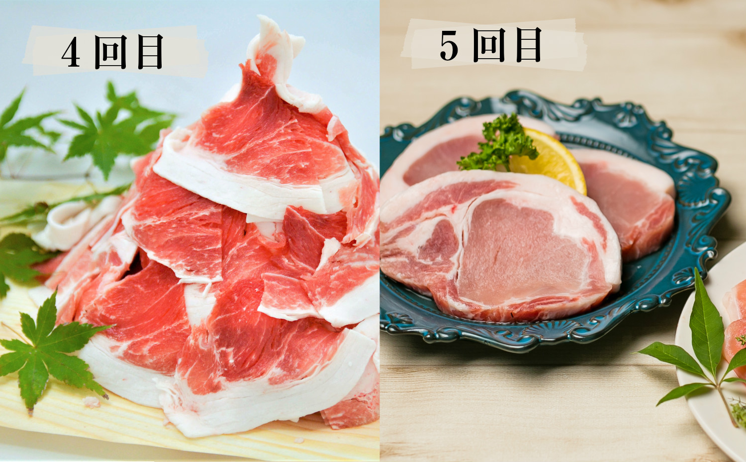 ãå®æäŸ¿ãçç£çåœé¹¿å
å³¶ã®é»è±æºå«ã³ãŒã¹ è³é«ã®ã ãä»ãïŒå
š5åïŒ ãè å®æäŸ¿ åœç£ 鹿å
å³¶çç£ è±è é»è± ããã¶ããã¶ ãšãã〠çŒè åãèœãšã ã»ãã æ¯æ é£ã¹æ¯ã¹ å·å åãã€ãŸåž