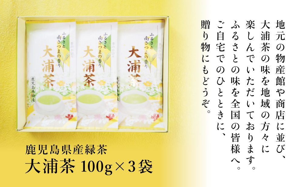 【新茶：5月発送開始】鹿児島県産緑茶 大浦茶 一番茶 3本セット(100g×3) ［贈答用］ 鹿児島県産 国産 かごしま お茶 日本茶 鹿児島茶 緑茶 茶葉 冷茶 飲料 飲み物 旨味 コク 簡単 美味しい 減農薬 プレゼント 贈答 贈答品 贈り物 ギフト 鹿児島県 南さつま市 徳留茶農園