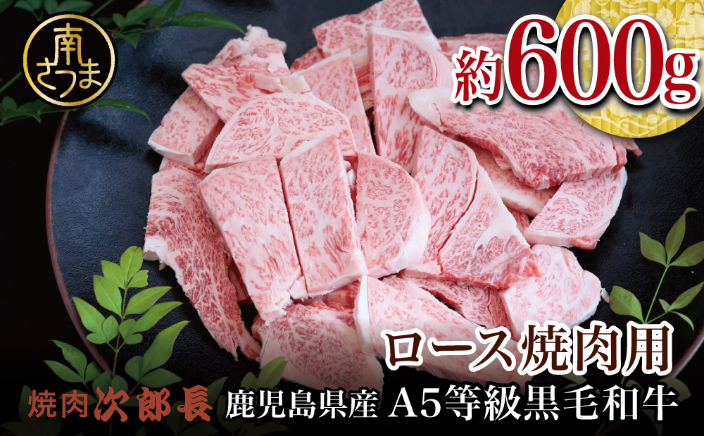 【鹿児島県産】黒毛和牛専門店 焼肉次郎長 A5等級 焼肉用 ロース 約600g 牛肉 お肉 BBQ 焼肉 南さつま市 贈り物 ギフト 贈答