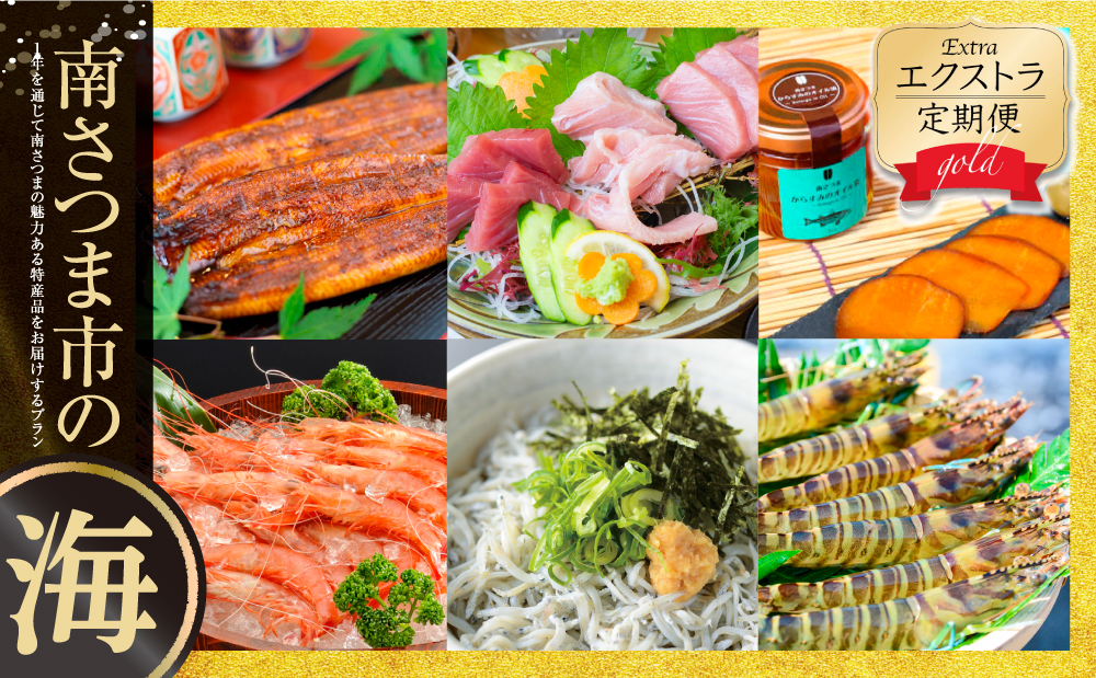 エクストラ定期便ゴールド 南さつま市