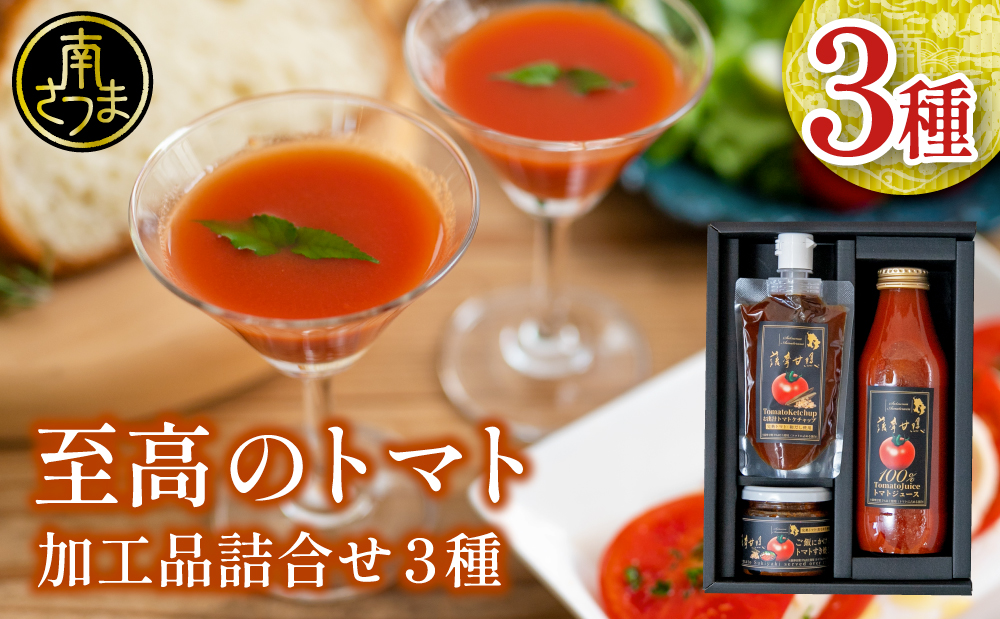 至高のトマト加工品詰合せ 3種類 南国 フルーツトマト100%使用 薩摩甘照 さつまあまてらす トマトジュース トマトケチャップ 濃厚 コク 甘み 天然素材 とまと 野菜 飲料 ドリンク ギフト 贈り物 贈答用 化粧箱入り 高槻電器工業 南さつま市