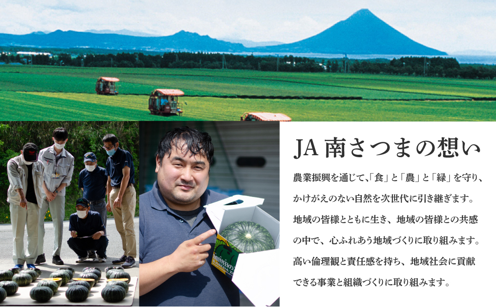 ã鹿å
å³¶çç£ãçãã€ãŸãããçŽ
ã¯ãããçŽ5kg â
11æä»¥éé æ¬¡åºè·â
å¬å£éå® å
è¡åä» ãã€ãŸãã çãã çè çŒãè ãã€ãŸè çè· ãµããã€ã¢ ã¹ã«ã¯ãã ã¹ã€ãŒã éè è²¯èµ åžžæž©ä¿å æ¬ JAåãã€ãŸ 鹿å
å³¶ç åãã€ãŸåž