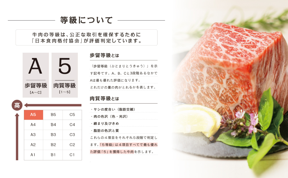 縲宣ケソ蜈仙ウカ逵檎肇縲羨5遲臥エ 鮟呈ッ帛柱迚 迚ケ謦ー襍、霄ォ繝悶Ο繝繧ッ 400g 迚幄i 繝「繝「 辟シ閧 繧ケ繝繝シ繧ュ BBQ 繝薙シ繝輔す繝√Η繝シ 縺願i 蜀キ蜃 繧ォ繝溘メ繧ッ 蜊励&縺、縺セ蟶