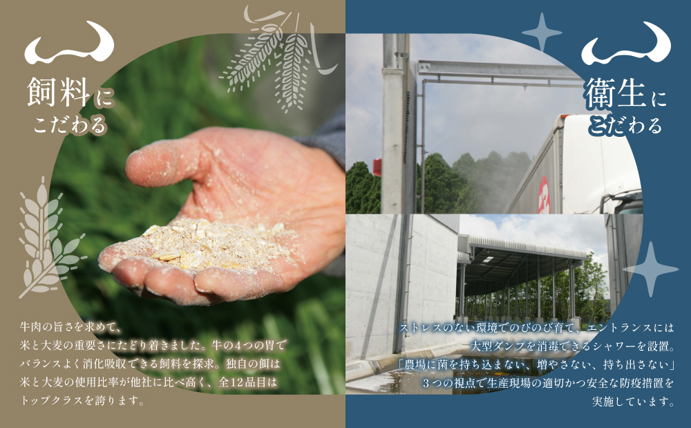 【プレミアムブランド】「小田牛」レトルト4種セット(カレー・パスタ・牛とろ煮込み・混ぜご飯の素) 牛肉 お肉 惣菜 常温保存 簡単調理 電子レンジ 湯煎 おかず レトルト セット 和食 洋食 カレー ビーフカレー パスタ ボロネーゼ パスタソース 混ぜご飯 牛ごぼう 牛とろ煮込み 煮込み 常温 黒毛和牛 ギフト 贈答用 小田畜産 鹿児島県 南さつま市