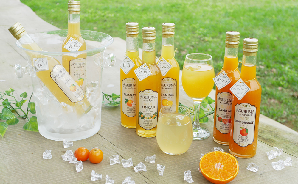 手作りフルーツシロップ 300ml×7本セット 南さつま市