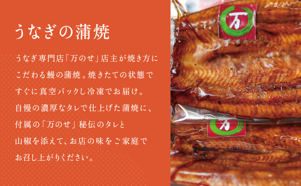 鹿å
å³¶çç£ é°» è²çŒ2å°Ÿã»ãããã³6å ã»ãã è©°åã è©°ãåãã ã®ãã èŽçå èŽãç© æåç£ åŸ¡ç¥ ãç¥ã åœç£ 鹿å
å³¶ããªã é°» è²çŒã ãŠãã® ããªãèžããçµã³ ãã«ãã ã¹ã¿ãã åçšã®äžã®æ¥ å±±æ€ ããªãå°éåºãäžã®ãã鹿å
å³¶ç åãã€ãŸåž