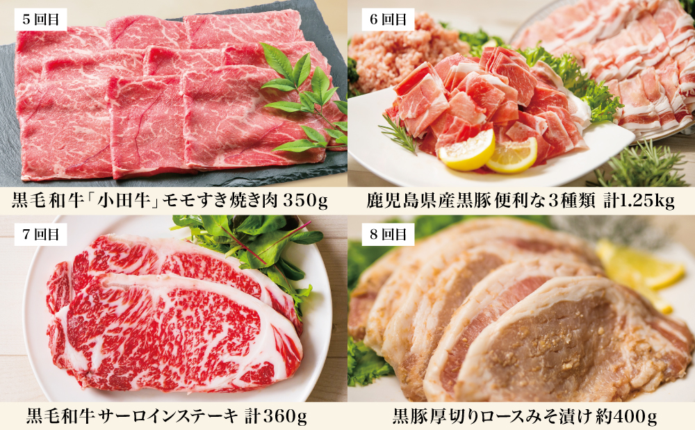 【定期便】畜産王国・南さつま市のオールスター厳選お肉定期便（10回） 牛肉 豚肉 すき焼き しゃぶしゃぶ 赤身 焼肉 味噌漬け 冷凍 定期便 鹿児島 南さつま市